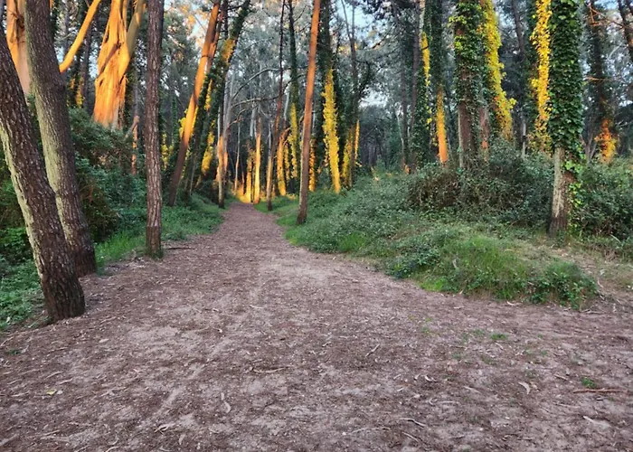 Guest house Playa De Covachos 1 3*